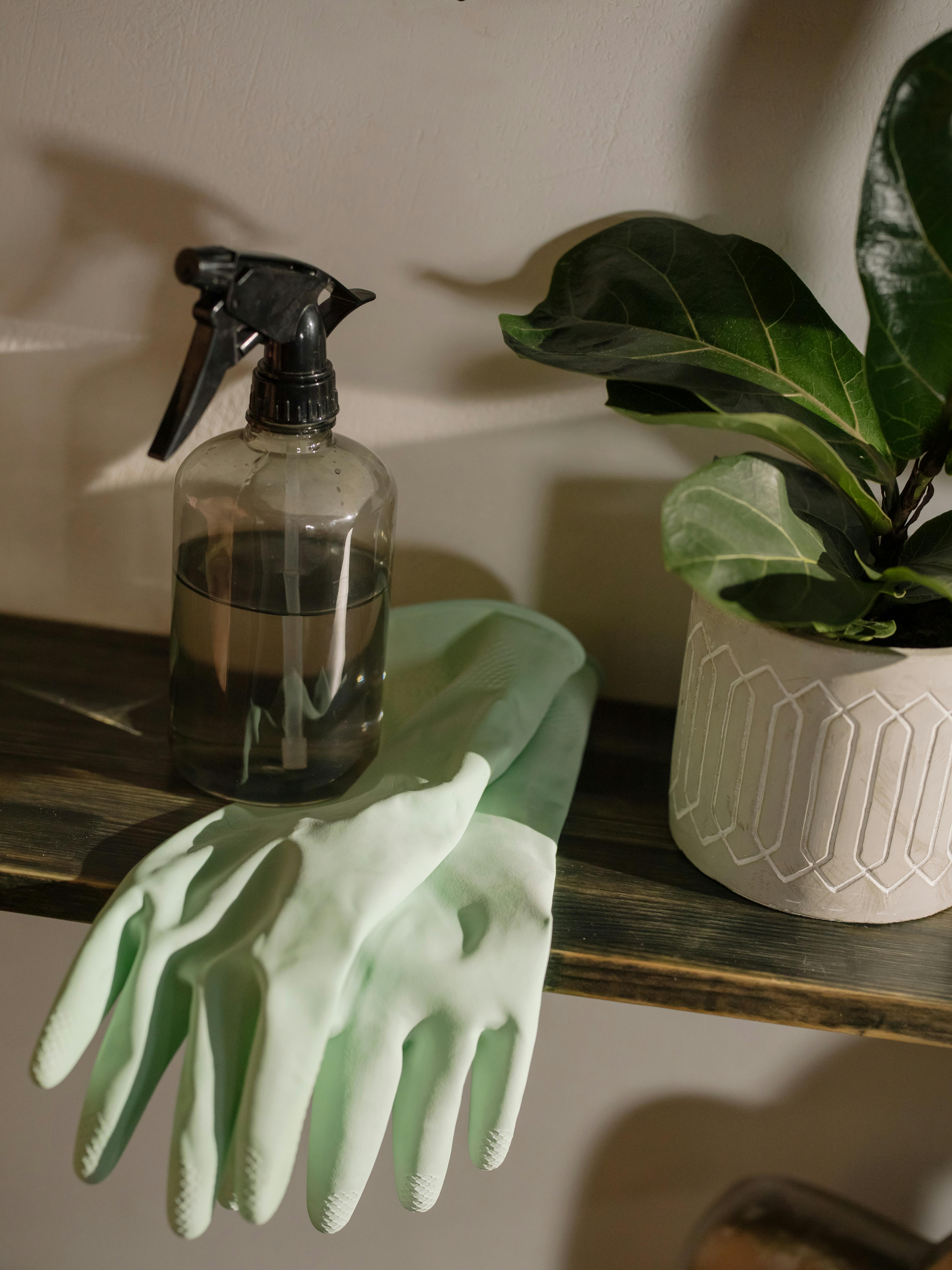 Household essentials collection